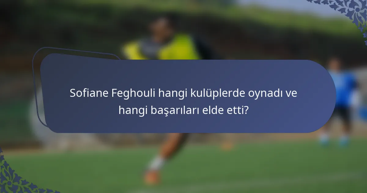 Sofiane Feghouli hangi kulüplerde oynadı ve hangi başarıları elde etti?