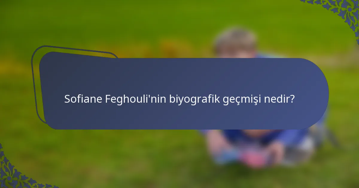 Sofiane Feghouli'nin biyografik geçmişi nedir?