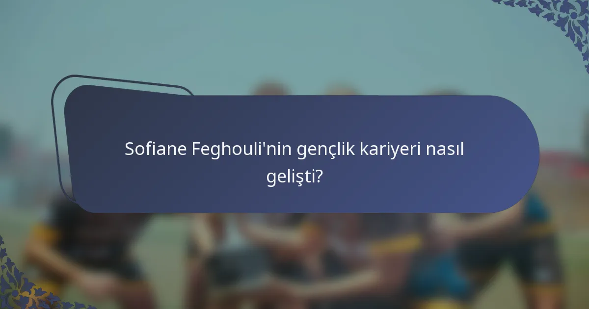 Sofiane Feghouli'nin gençlik kariyeri nasıl gelişti?