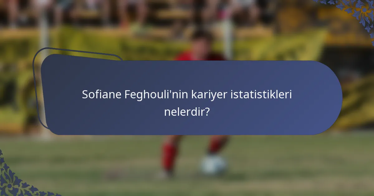 Sofiane Feghouli'nin kariyer istatistikleri nelerdir?
