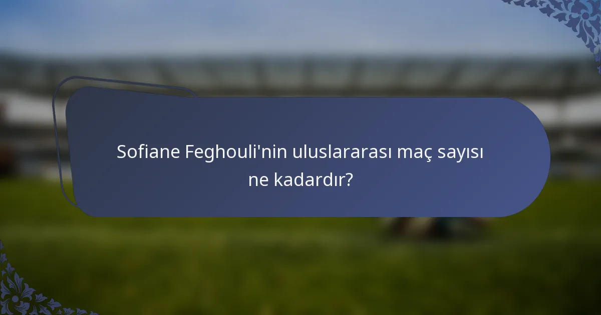 Sofiane Feghouli'nin uluslararası maç sayısı ne kadardır?